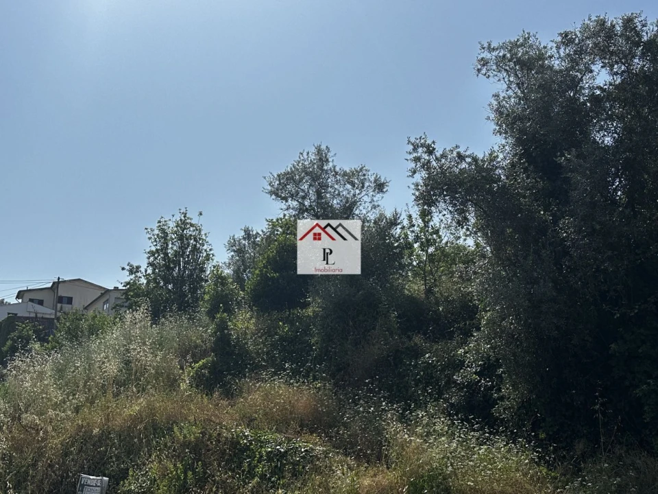 Terreno para Venda em Santo Antonio dos Olivais Foto 1