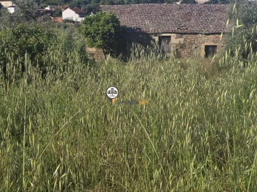 Terreno para Venda em Salgueiro do Campo