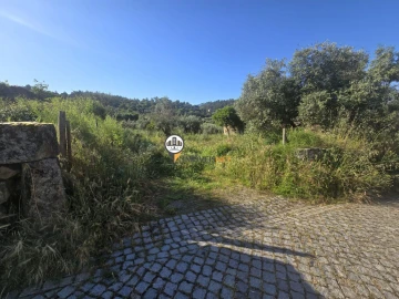 Terreno para Venda em Salgueiro do Campo