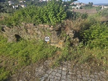 Terreno para Venda em Salgueiro do Campo