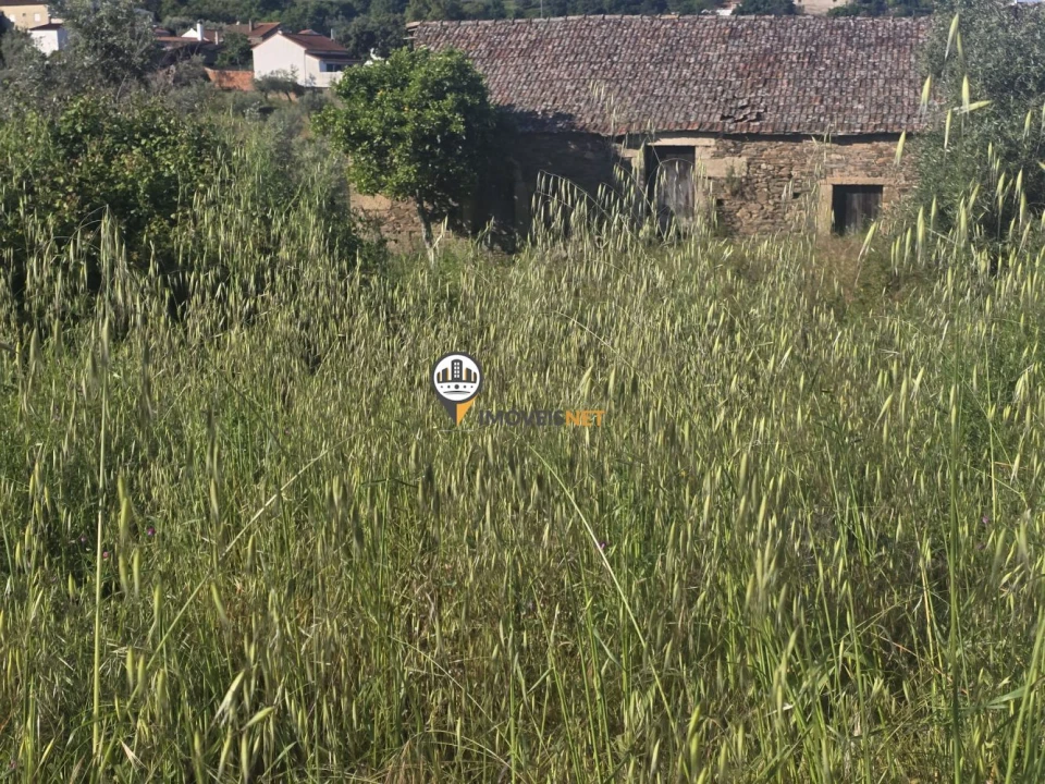 Terreno para Venda em Salgueiro do Campo Foto 9