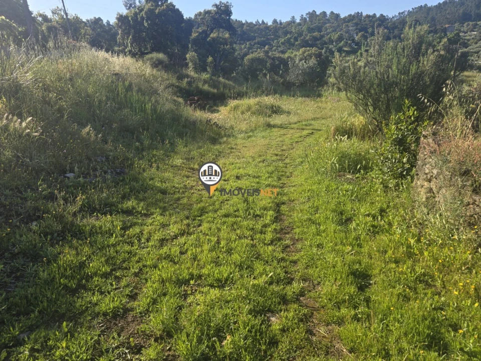 Terreno para Venda em Salgueiro do Campo Foto 5