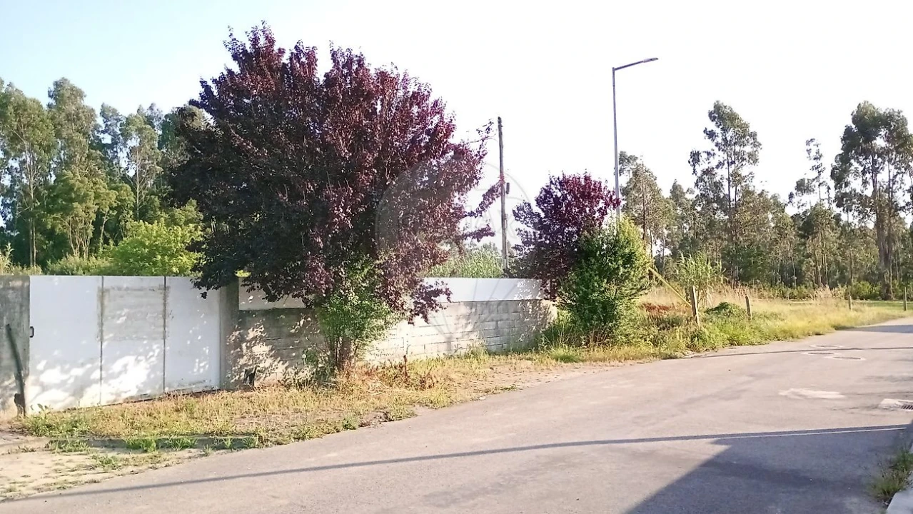 Terreno para Venda em Cortegaça Foto 4