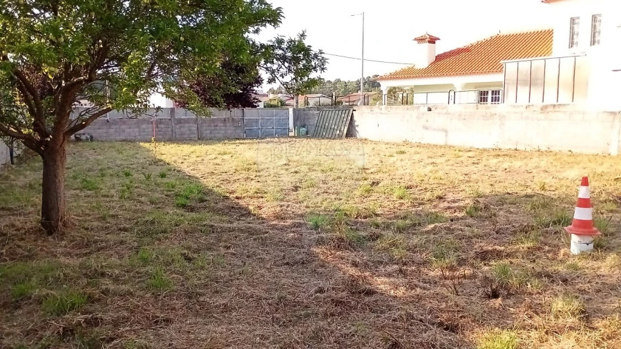 Terreno para Venda em Cortegaça Foto 17