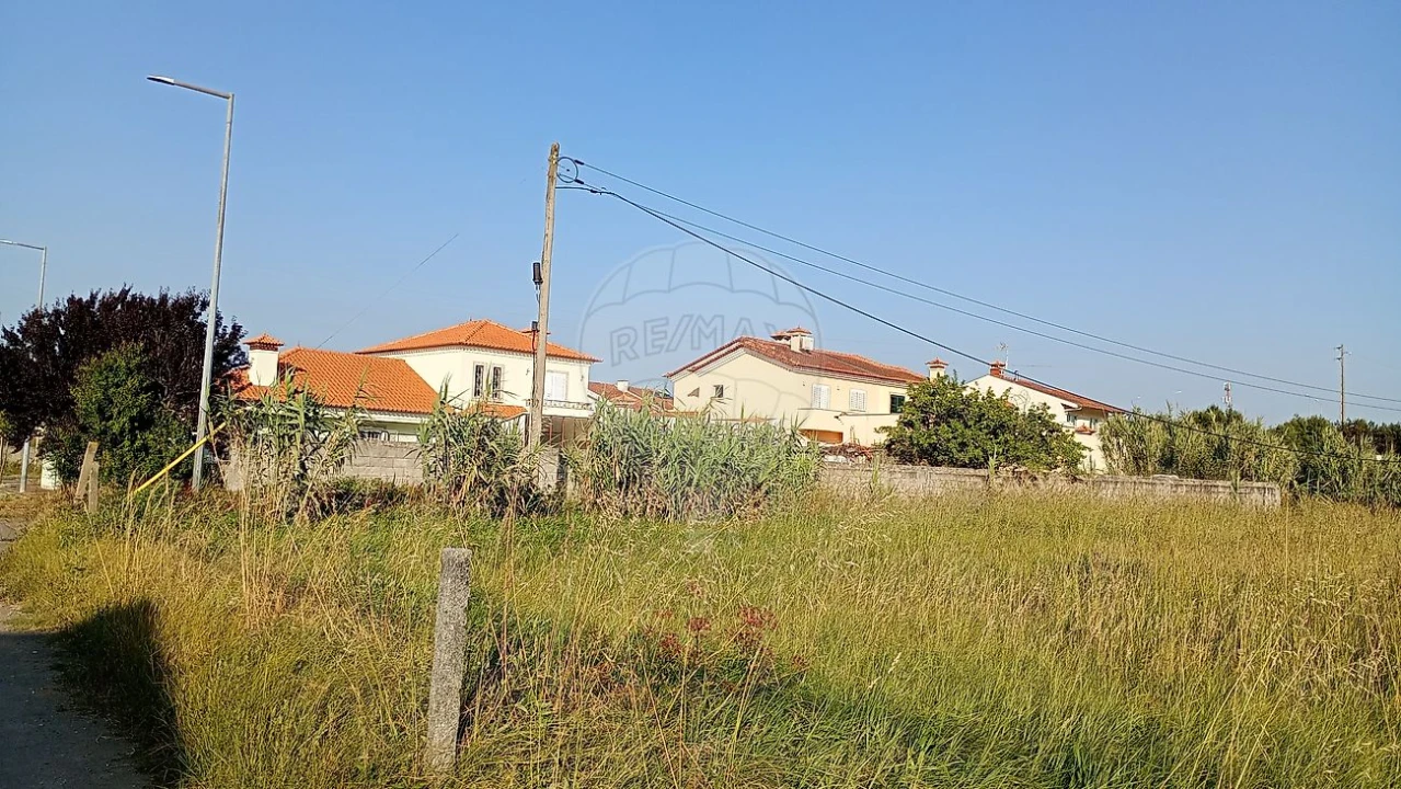Terreno para Venda em Cortegaça Foto 18