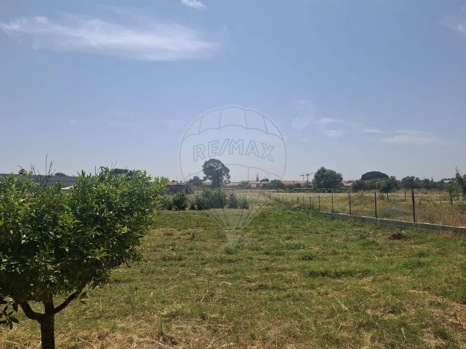 Terreno para Venda em Samora Correia Foto 5