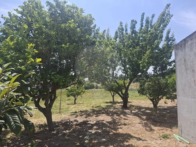 Terreno para Venda em Samora Correia Foto 6