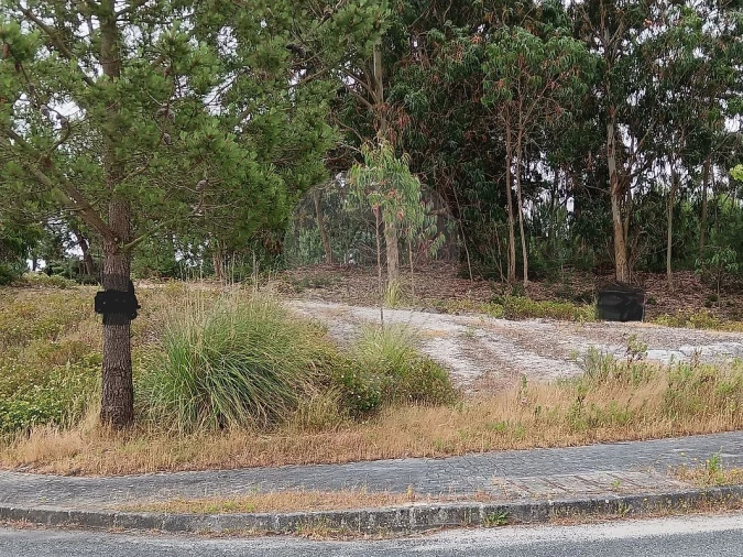 Terreno para Venda em Santa Maria, São Pedro e Matacães Foto 12