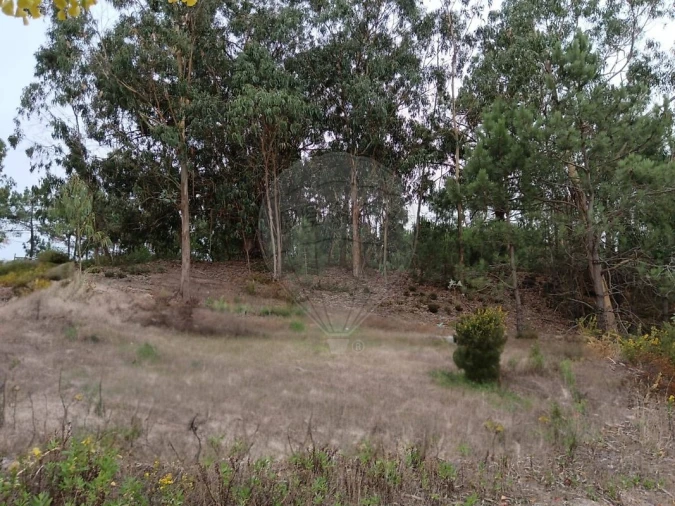 Terreno para Venda em Santa Maria, São Pedro e Matacães Foto 13
