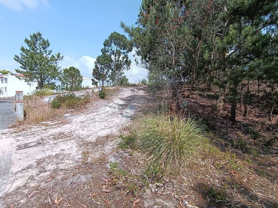 Terreno para Venda em Santa Maria, São Pedro e Matacães Foto 7
