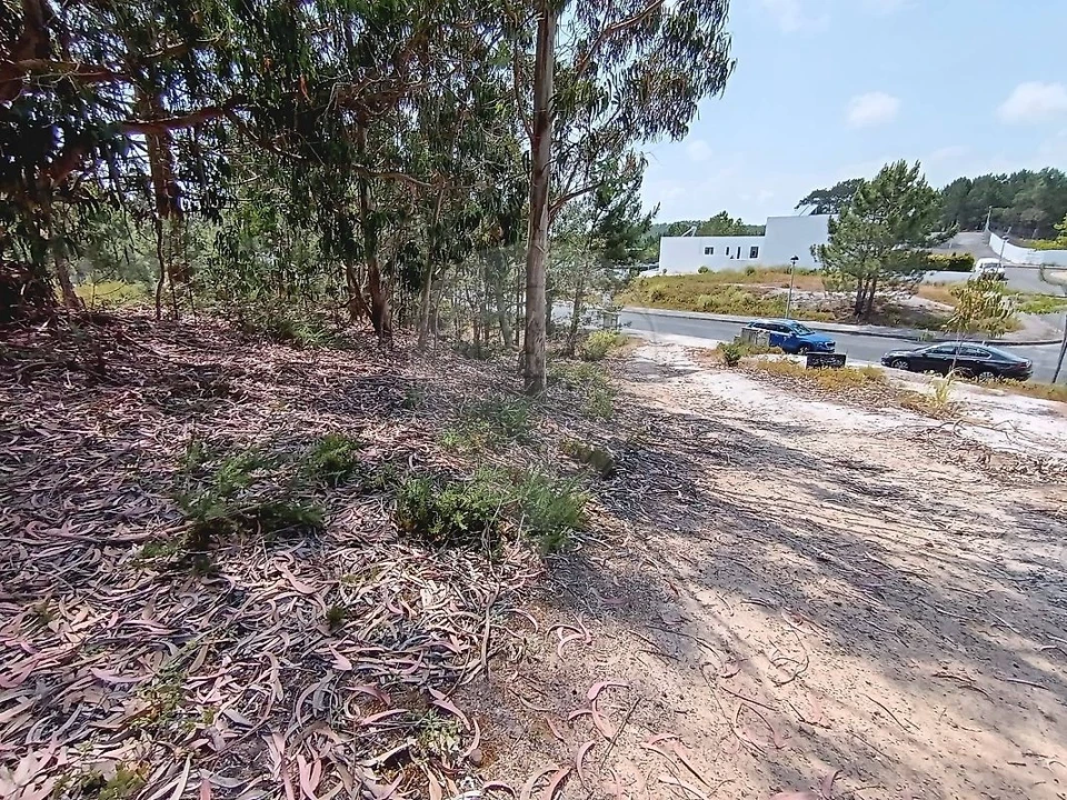 Terreno para Venda em Santa Maria, São Pedro e Matacães Foto 6