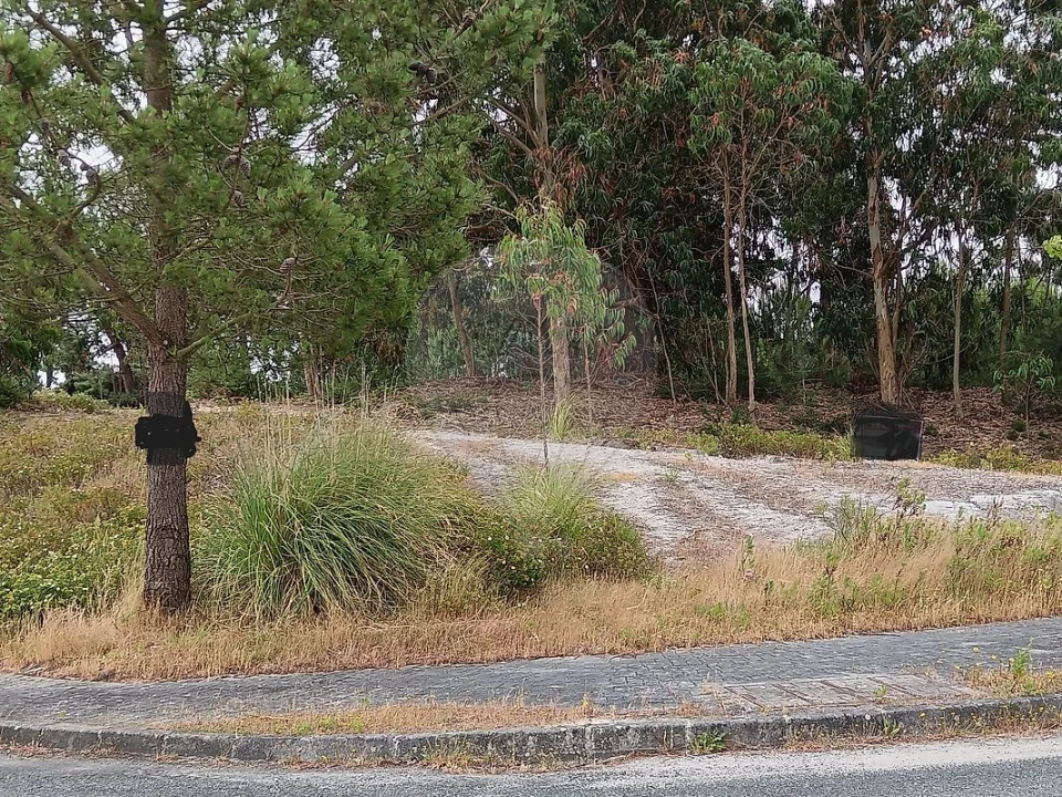 Terreno para Venda em Santa Maria, São Pedro e Matacães Foto 12