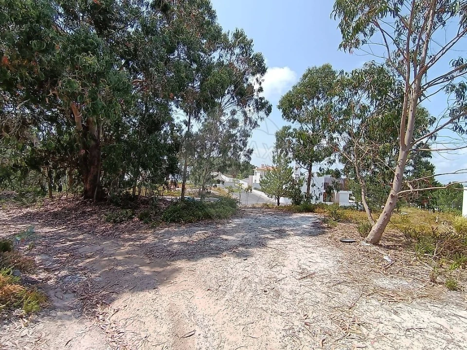 Terreno para Venda em Santa Maria, São Pedro e Matacães Foto 5
