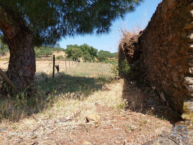 Prédio para Venda em Alegrete Foto 3
