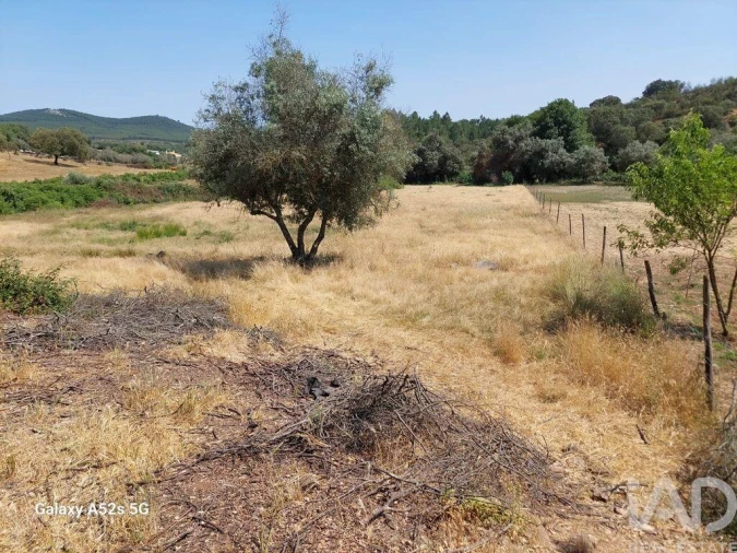 Prédio para Venda em Alegrete Foto 19