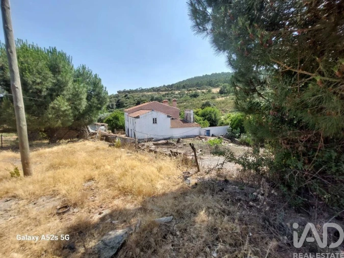 Prédio para Venda em Alegrete Foto 21