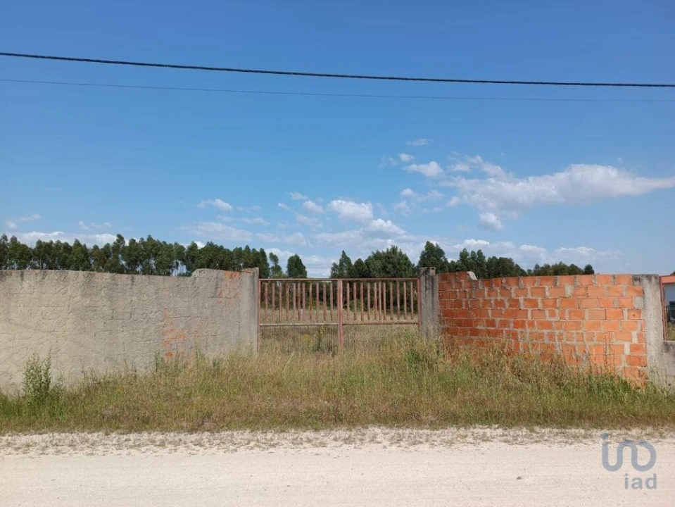 Terreno para Venda em Benavente Foto 2