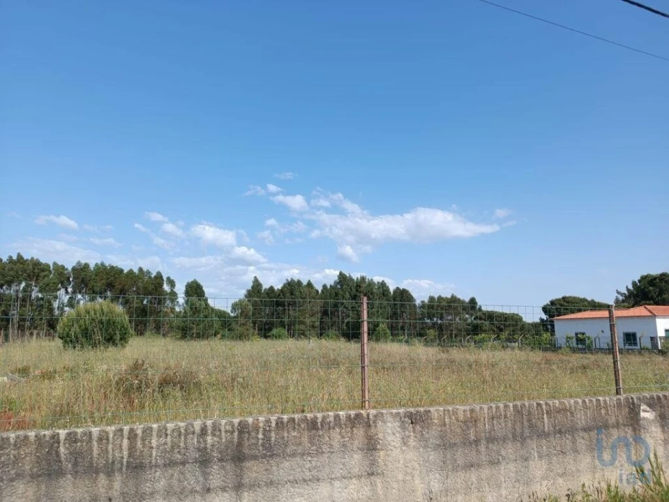 Terreno para Venda em Benavente Foto 3