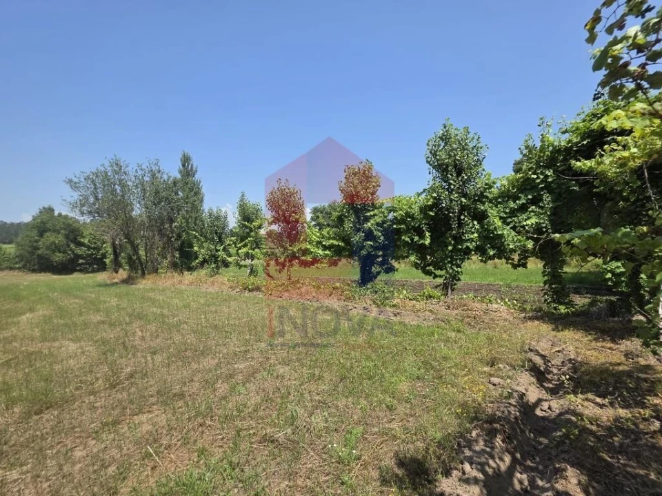 Terreno para Venda em Gême Foto 10