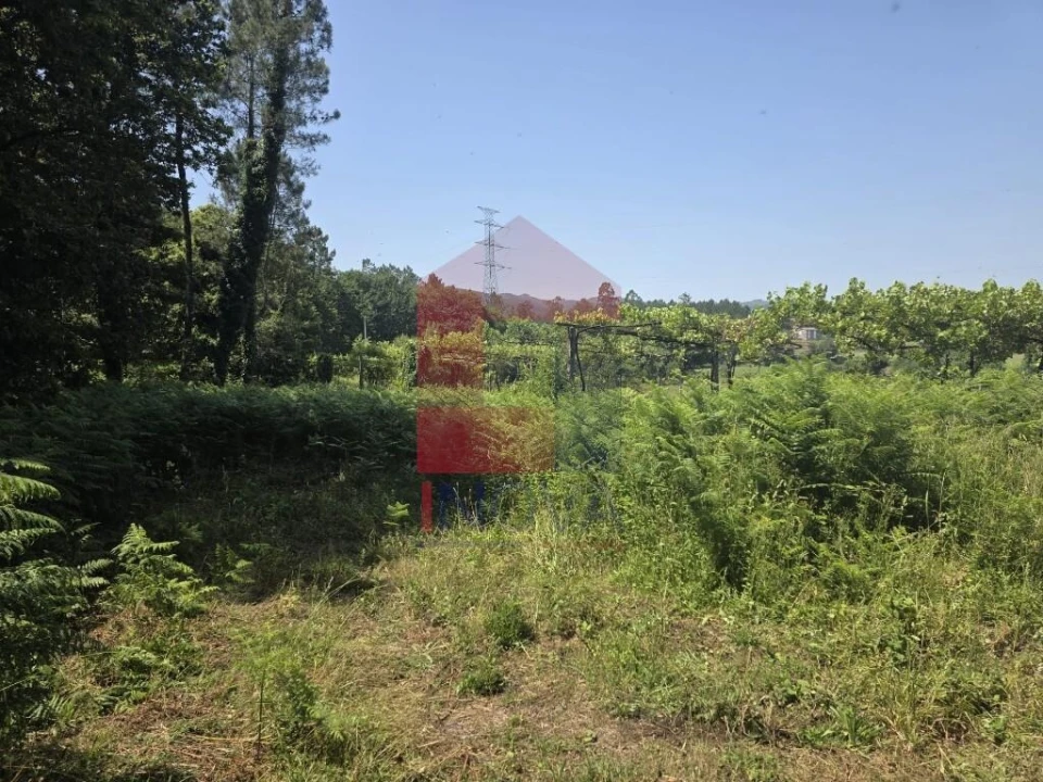 Terreno para Venda em Gême Foto 23