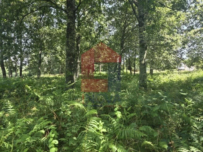 Terreno para Venda em Gême Foto 27