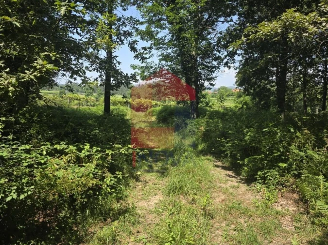 Terreno para Venda em Gême Foto 29