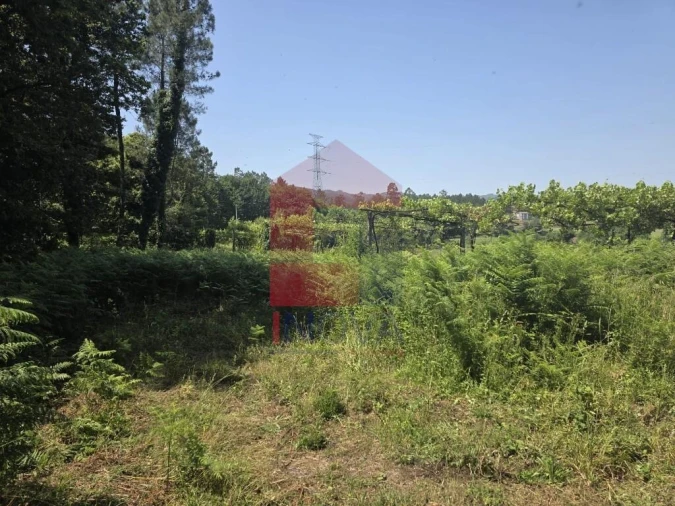 Terreno para Venda em Gême Foto 23