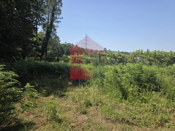 Terreno para Venda em Gême Foto 33