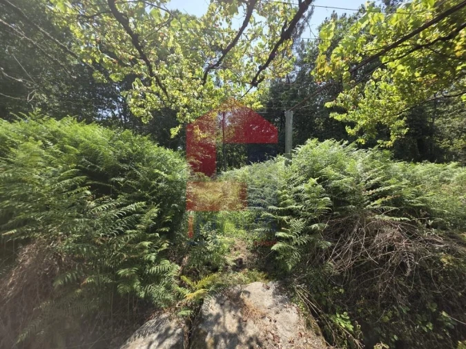 Terreno para Venda em Gême Foto 26