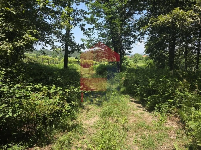 Terreno para Venda em Gême Foto 30