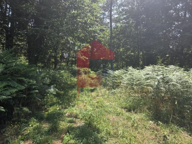 Terreno para Venda em Gême Foto 22