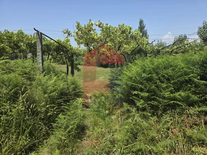 Terreno para Venda em Gême Foto 24