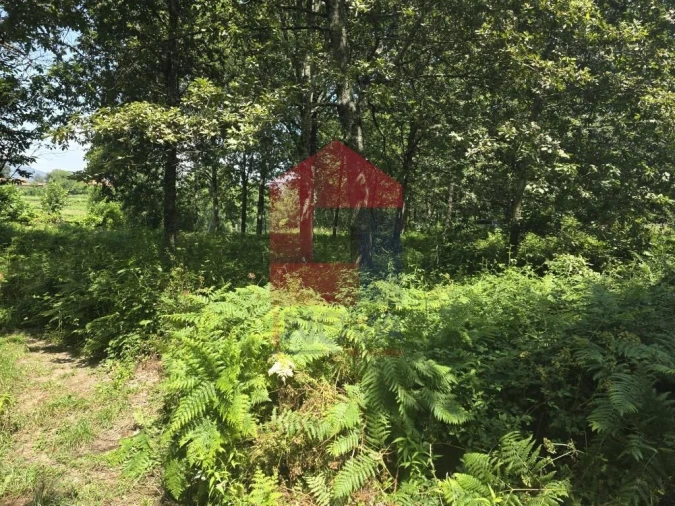 Terreno para Venda em Gême Foto 34