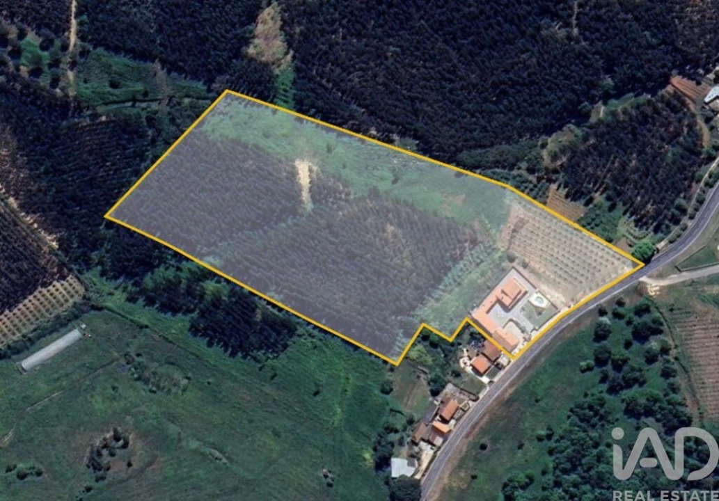 Moradia T5 para Venda em Lamas e Cercal Foto 4