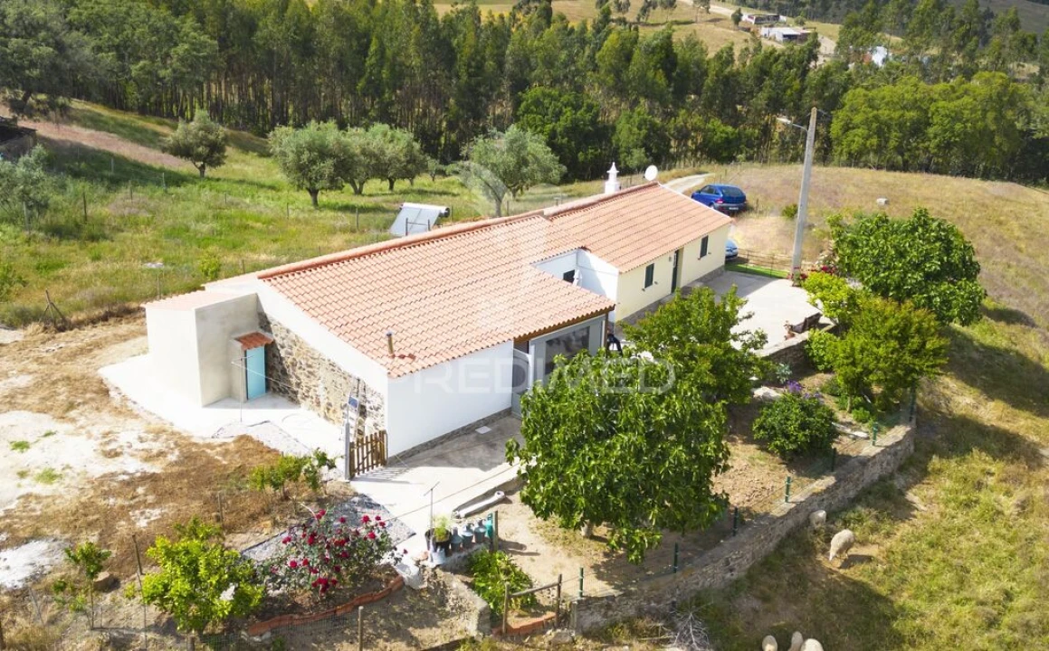 Quinta T4 para Venda em São Martinho das Amoreiras Foto 7