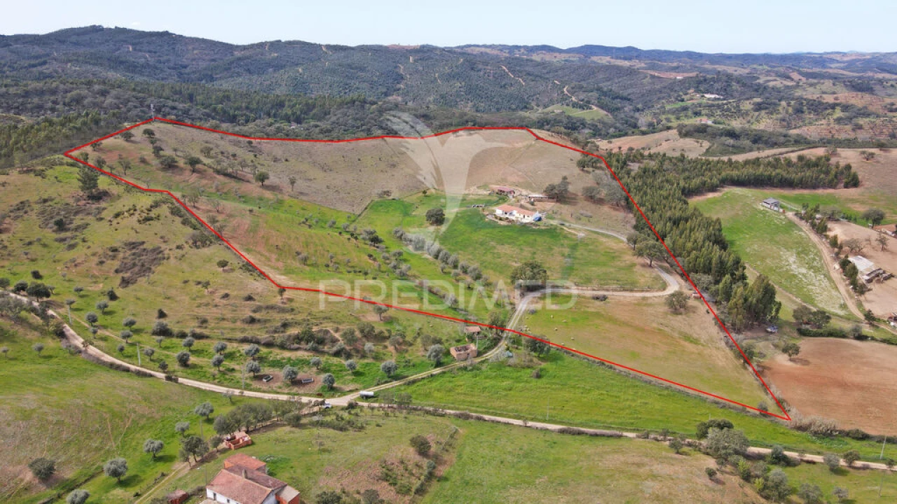 Quinta T4 para Venda em São Martinho das Amoreiras Foto 7