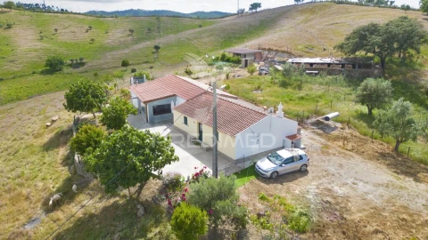 Quinta T4 para Venda em São Martinho das Amoreiras