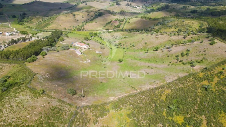 Quinta T4 para Venda em São Martinho das Amoreiras Foto 9
