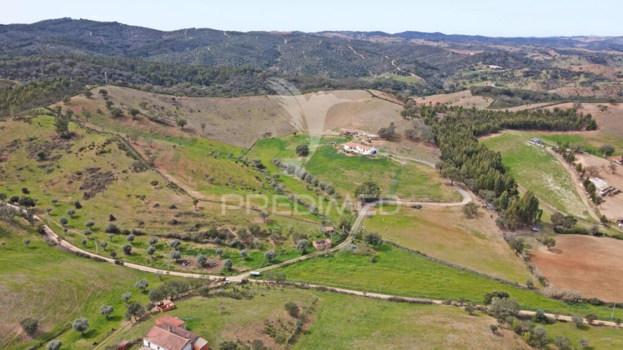 Quinta T4 para Venda em São Martinho das Amoreiras Foto 6