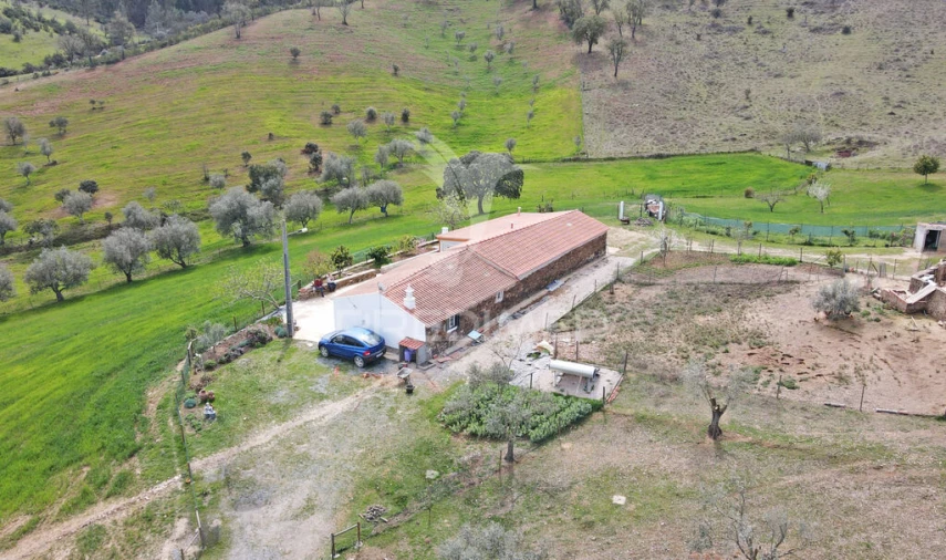 Quinta T4 para Venda em São Martinho das Amoreiras Foto 8