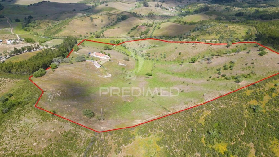Quinta T4 para Venda em São Martinho das Amoreiras Foto 11