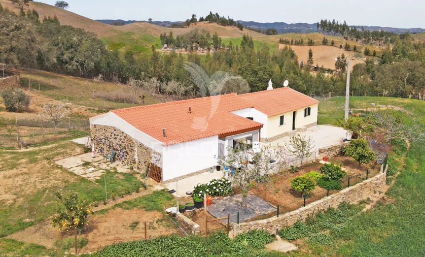 Quinta T4 para Venda em São Martinho das Amoreiras