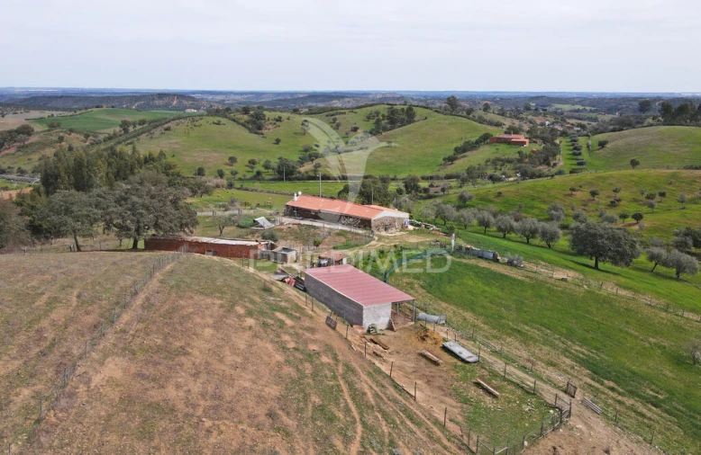 Quinta T4 para Venda em São Martinho das Amoreiras Foto 11