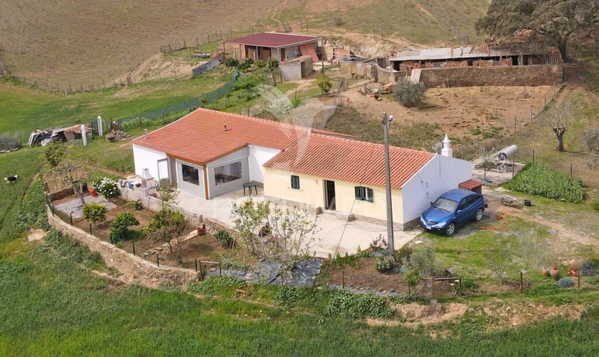 Quinta T4 para Venda em São Martinho das Amoreiras Foto 3