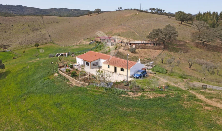 Quinta T4 para Venda em São Martinho das Amoreiras Foto 5