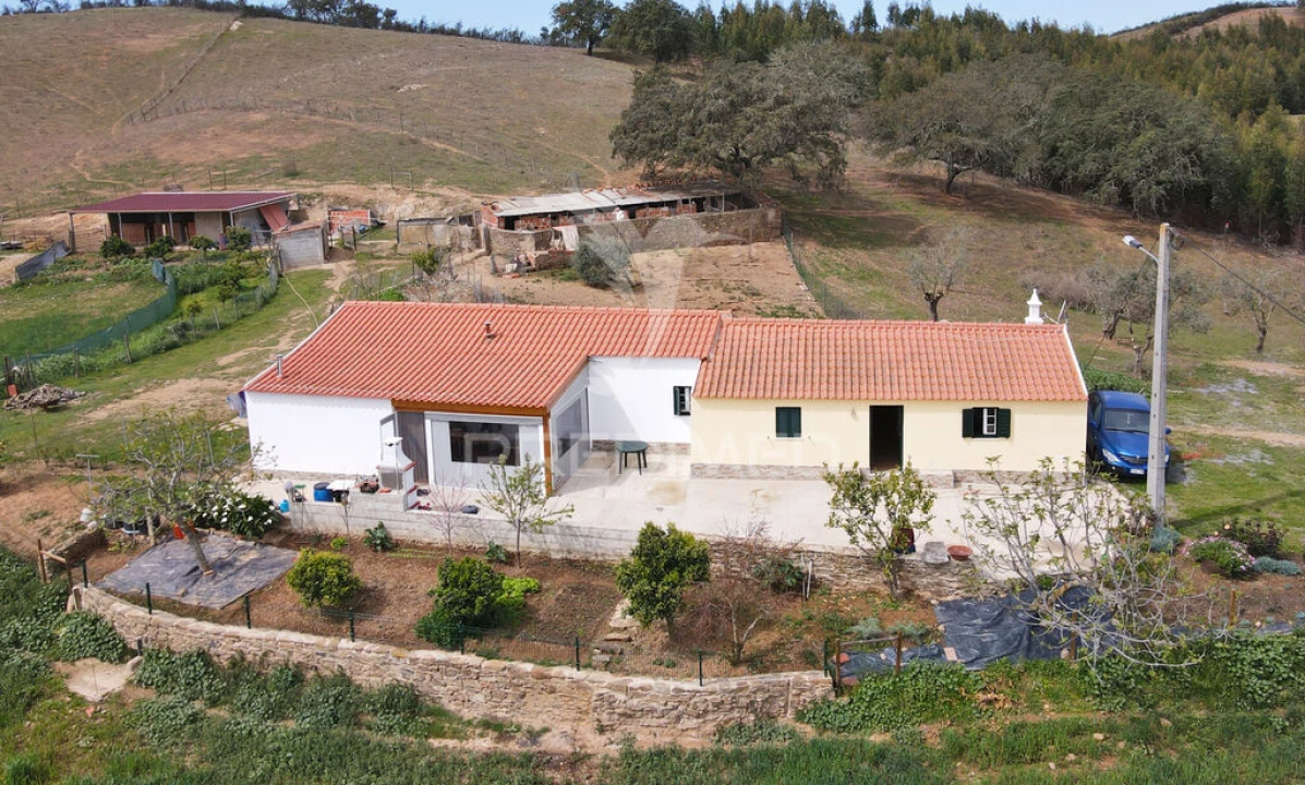 Quinta T4 para Venda em São Martinho das Amoreiras Foto 4