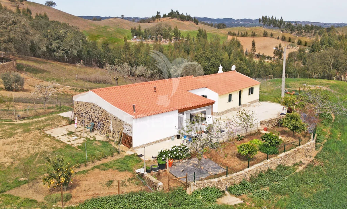 Quinta T4 para Venda em São Martinho das Amoreiras Foto 1