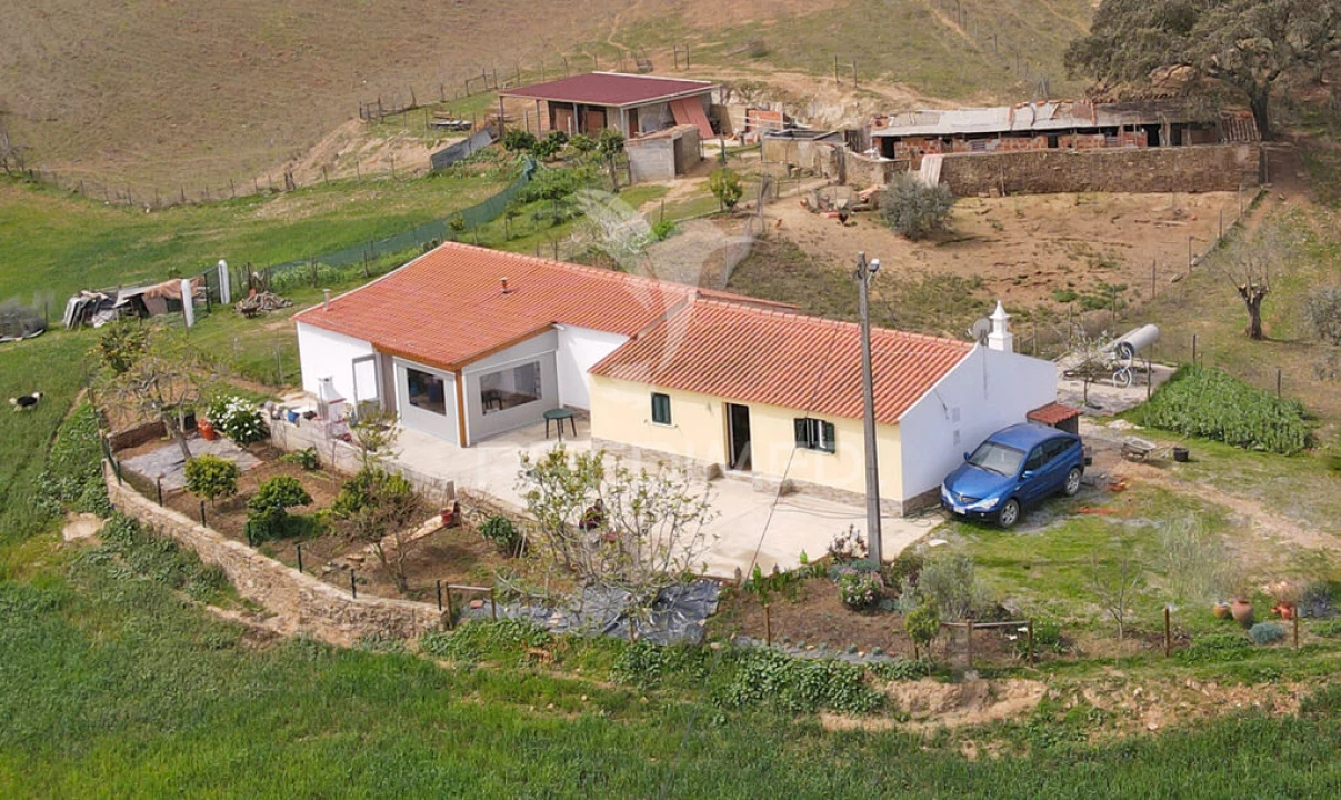 Quinta T4 para Venda em São Martinho das Amoreiras Foto 3