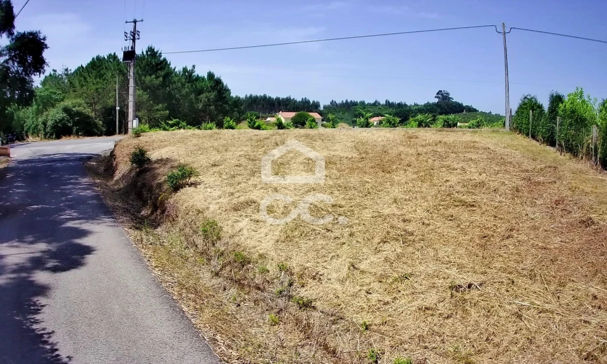 Terreno para Venda em Bombarral e Vale Covo Foto 9