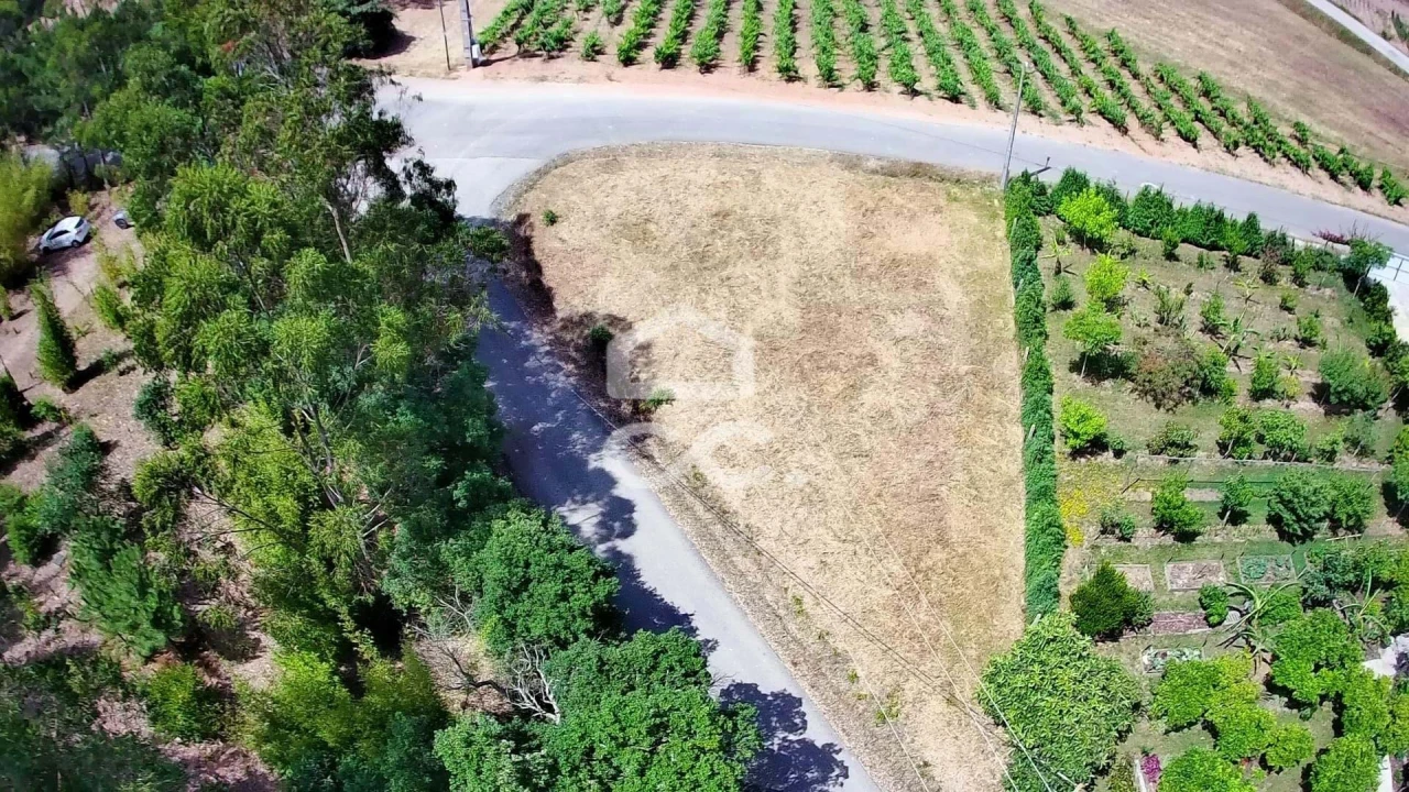 Terreno para Venda em Bombarral e Vale Covo Foto 8